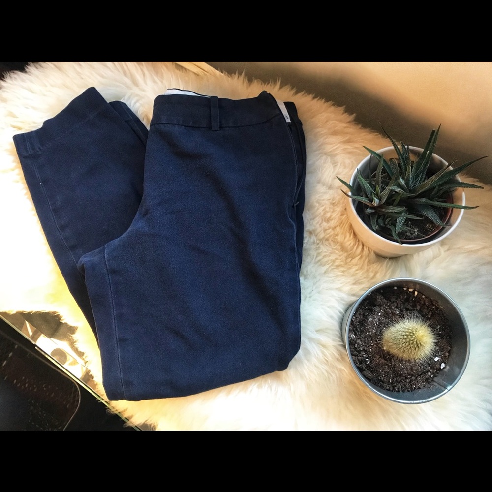 J.Crew Navy Minnie Pant